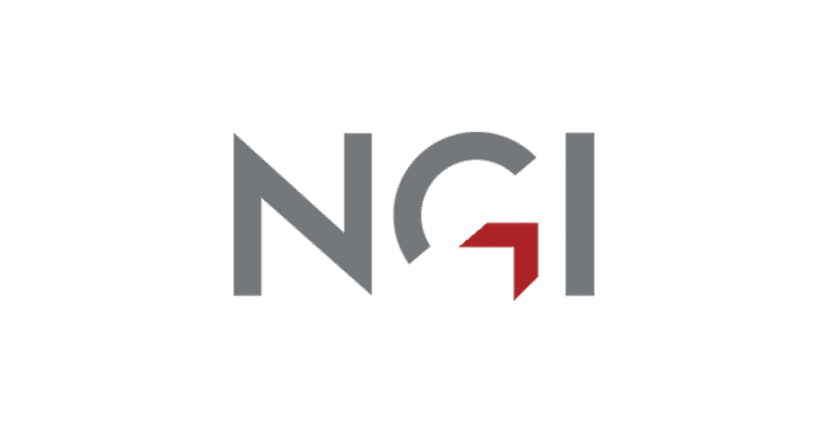 NGI logo